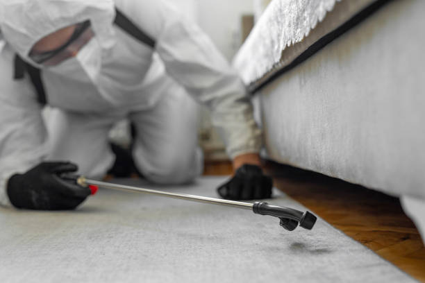 Professional Termite Control technician working in Elmsford, NY