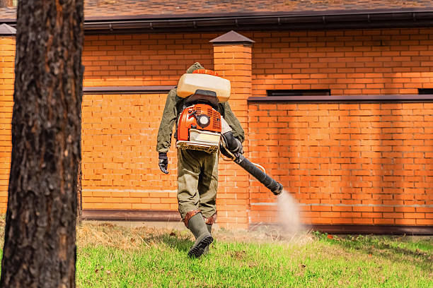 Trusted Cockroach Control service in Elmsford, NY - Nex Pest Control